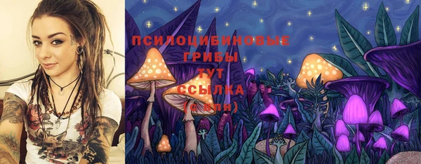 мдпв Липки