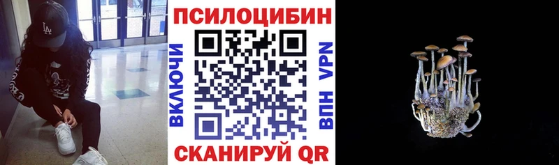 Купить где  Барабинск  Галлюциногенные грибы прущие грибы 